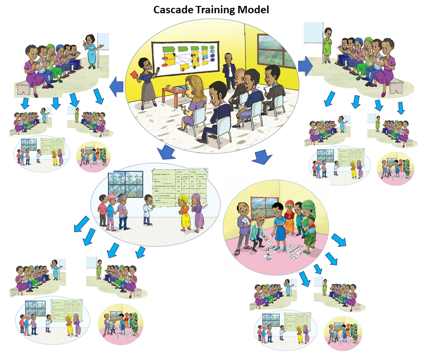 Cascade training